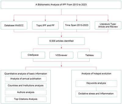 Identification of oxidative stress-related diagnostic markers and immune infiltration features for idiopathic pulmonary fibrosis by bibliometrics and bioinformatics
